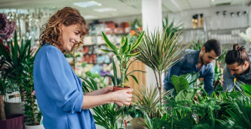 plantes à risque